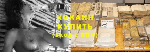 гашик Мегион