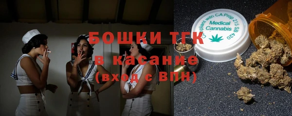 гашик Мегион